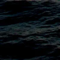 crop=200x200,BottomLeft Crop Image