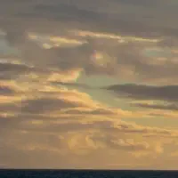 crop=200x200,Left Crop Image