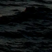 crop=200x200,BottomRight Crop Image